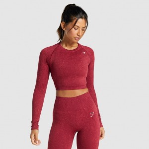 Camiseta Gymshark Adapt Fleck Seamless Long Sleeve Crop Mineral | 48WFZOUQA