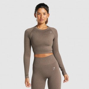 Camiseta Gymshark Adapt Fleck Seamless Long Sleeve Crop Mineral | 90VHFUTMQ