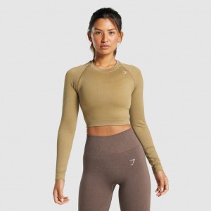 Camiseta Gymshark Adapt Fleck Seamless Long Sleeve Crop Mineral | 71SKTGREJ