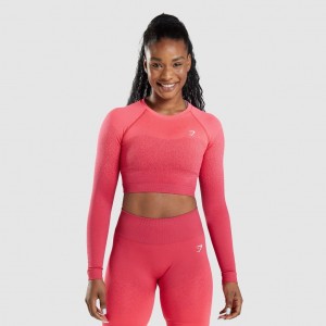 Camiseta Gymshark Adapt Ombre Seamless Long Sleeve Crop Rosas Rojas | 93URCFMVE