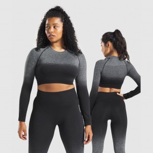 Camiseta Gymshark Adapt Ombre Seamless Long Sleeve Crop Negras Negras | 69JDYFBZA