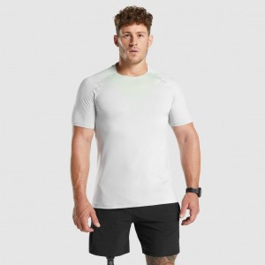 Camiseta Gymshark Apex Contrast Seamless Gris Claro | 17SBRGKEC