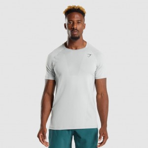 Camiseta Gymshark Apex Perform Gris Claro | 87GHUVRYP