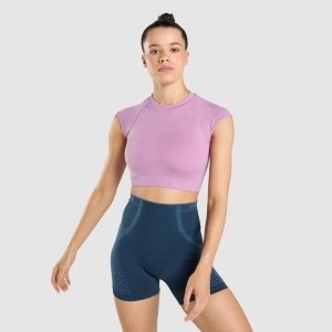Camiseta Gymshark Apex Seamless Crop Moradas Moradas Claro | 21JOSEXAW