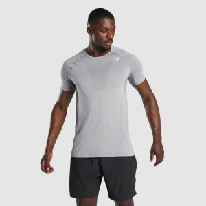 Camiseta Gymshark Apex Seamless Gris | 70ZGDJMFV
