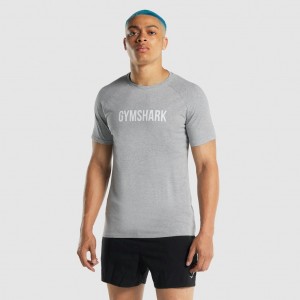Camiseta Gymshark Apollo Gris Claro | 68LCNFSVI