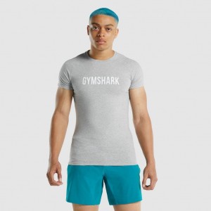 Camiseta Gymshark Apollo Gris Claro | 92HBKLVME