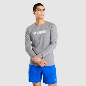 Camiseta Gymshark Apollo Long Sleeve Charcoal Marl | 96QHSOBGU