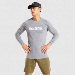 Camiseta Gymshark Apollo Long Sleeve Charcoal Marl | 17RFKECWN