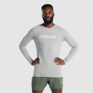 Camiseta Gymshark Apollo Long Sleeve Gris Claro | 46QSTNZHR