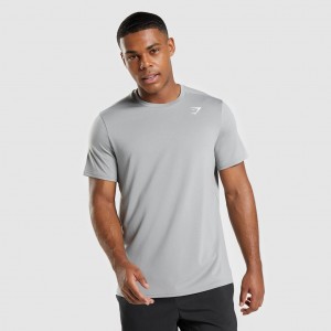 Camiseta Gymshark Arrival Regular Fit Gris | 64RACMLPS
