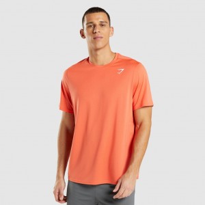 Camiseta Gymshark Arrival Regular Fit Naranjas | 31PDJTSXW