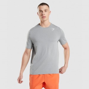 Camiseta Gymshark Arrival Seamless Gris | 20ZNQBMAO