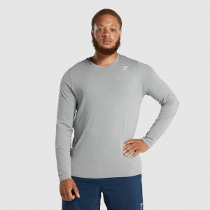 Camiseta Gymshark Arrival Seamless Long Sleeve Gris | 78GQSNBWI