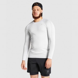 Camiseta Gymshark Aspect Ligeros Seamless Long Sleeve Gris Claro | 17GWLXPFZ