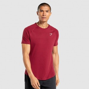Camiseta Gymshark Bold Burdeos | 01WJAQRIH
