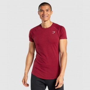 Camiseta Gymshark Bold Burdeos | 74NIRCPEB