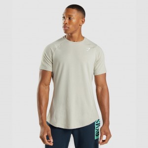 Camiseta Gymshark Bold Gris | 24XGBDSRO