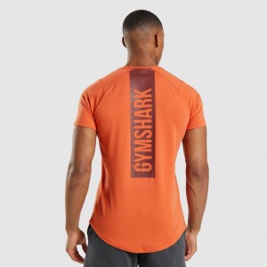Camiseta Gymshark Bold Naranjas | 38EUONPGB