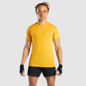 Camiseta Gymshark Chalk Amarillo | 94ZSXIWED
