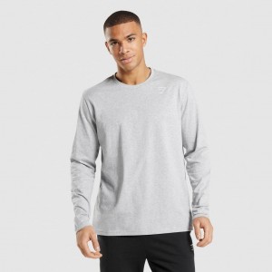 Camiseta Gymshark Crest Long Sleeve Gris Claro | 92QTKFNAJ