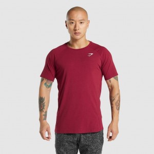 Camiseta Gymshark Critical 2.0 Burdeos | 64SDYEWIG