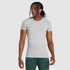 Camiseta Gymshark Critical 2.0 Gris Claro | 38OPBKZMH