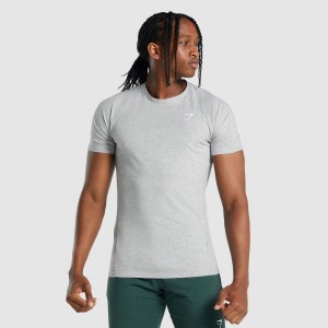 Camiseta Gymshark Critical 2.0 Gris Claro | 57DAZVLIY