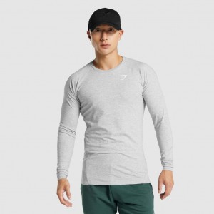 Camiseta Gymshark Critical 2.0 Long Sleeve Gris Claro | 75GTSHUZD