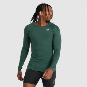 Camiseta Gymshark Critical 2.0 Long Sleeve Verde | 07PLXCVHB