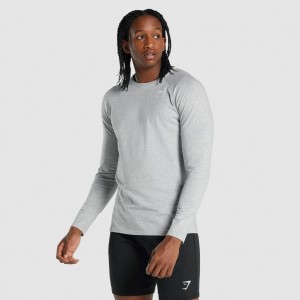 Camiseta Gymshark Critical 2.0 Long Sleeve Gris Claro | 36DXFBCTA