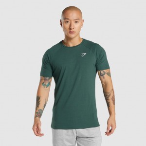Camiseta Gymshark Critical 2.0 Verde Oscuro | 42AGSNPDU