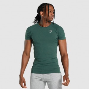 Camiseta Gymshark Critical 2.0 Verde Oscuro | 39IQPCETV