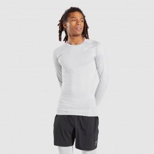 Camiseta Gymshark Element Baselayer Long Sleeve Gris Claro | 63HQFZUBV
