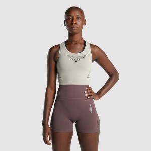 Camiseta Gymshark Energy Seamless Crop Gris Claro | 74FRSWHIC