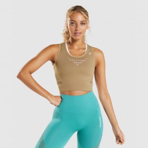 Camiseta Gymshark Energy Seamless Crop Marrones | 57CZSOQFG