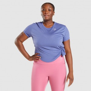 Camiseta Gymshark Essential Tee Azules | 36HBWEUDJ