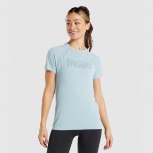 Camiseta Gymshark Fit Seamless Loose Azules | 64WMRVJSL