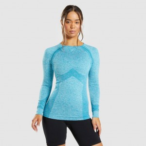 Camiseta Gymshark Flex Long Sleeve Azules | 08XQNULJE
