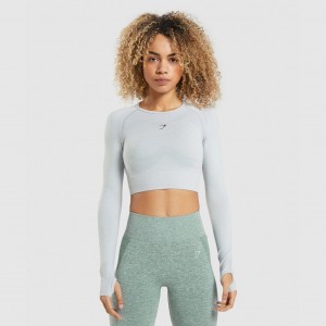 Camiseta Gymshark Flex Sports Long Sleeve Crop Gris Claro | 52ACSLKVX