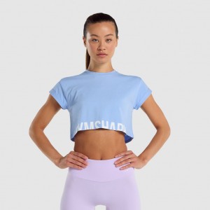 Camiseta Gymshark Fraction Crop Azules Claro | 49ZTFNOJM
