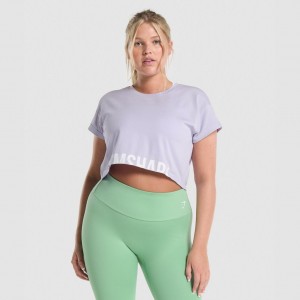 Camiseta Gymshark Fraction Crop Moradas Claro | 75VTELPSH