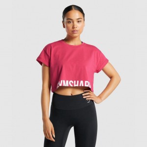 Camiseta Gymshark Fraction Crop Rosas | 36PXCYNUV