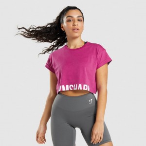 Camiseta Gymshark Fraction Crop Rosas | 70PYCBKQL