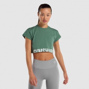 Camiseta Gymshark Fraction Crop Verde | 05CBRNXMK