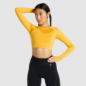 Camiseta Gymshark Glow Long Sleeve Seamless Crop Amarillo | 35GJCTZMX