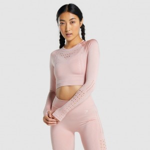 Camiseta Gymshark Glow Long Sleeve Seamless Rosas Claro | 83KYZWDHL