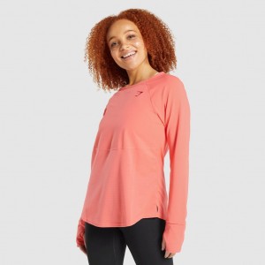 Camiseta Gymshark Pulse Long Sleeve Rosas | 56RXKTIPG