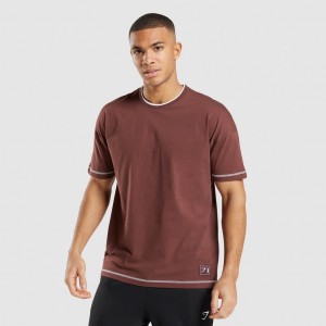 Camiseta Gymshark Recess Marrones Blancas | 97XYOQJRH