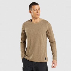 Camiseta Gymshark Retake Long Sleeve Marrones Claro | 48SHNXJGZ
